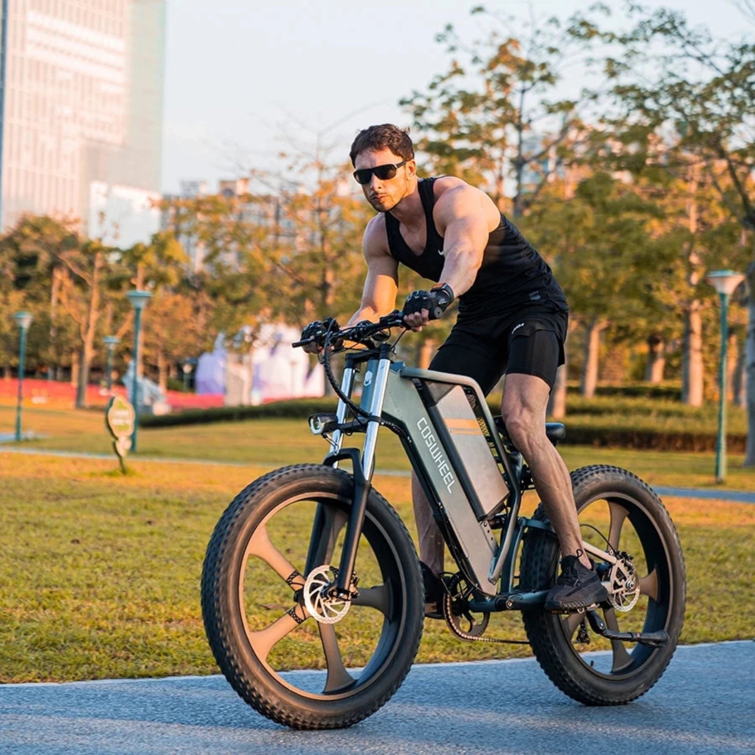 Coswheel T26 adult E-bike 500W 48V20Ah battery commute Electric Bike,26-inch Fat Tire E-Mountain bike